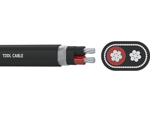 How to Choose the Right Extension Cord for Small Appliances A Complete Guide