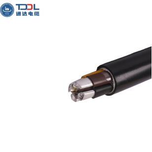 XLPE Cable(2)